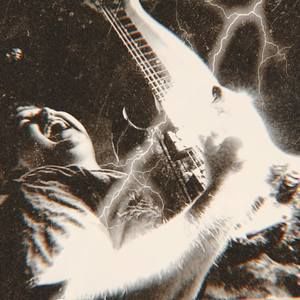 Meet your Posher, Tanner